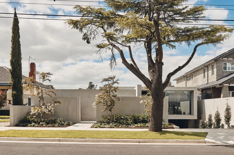 Street view of the concrete courtyard wall with planted beds beneath a large spreading tree