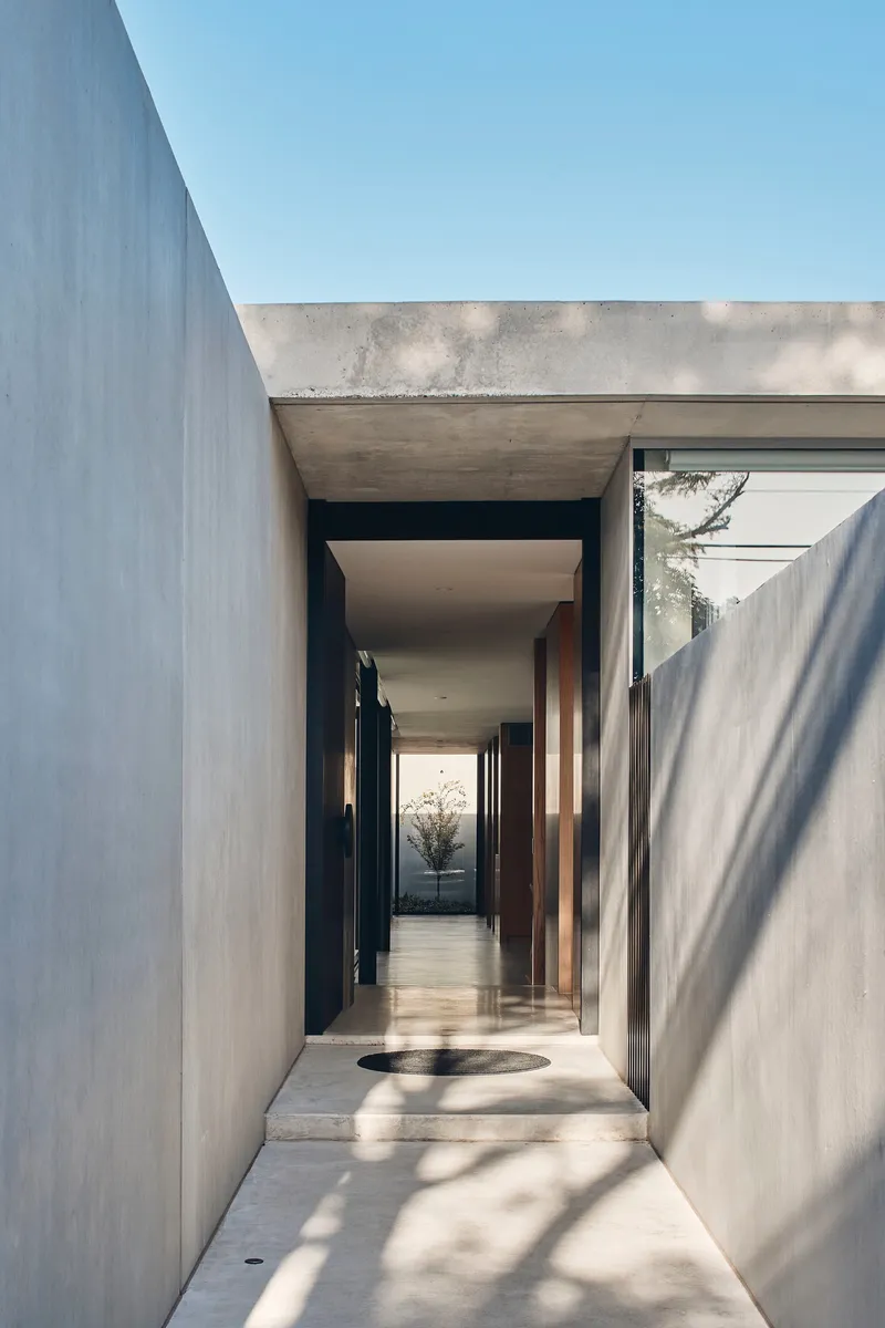 Entry corridor with concrete walls and timber lining leading through to a planted courtyard beyond