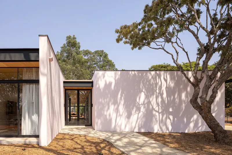 Exterior view of single-storey volumes with timber soffit and mature eucalyptus canopy overhead