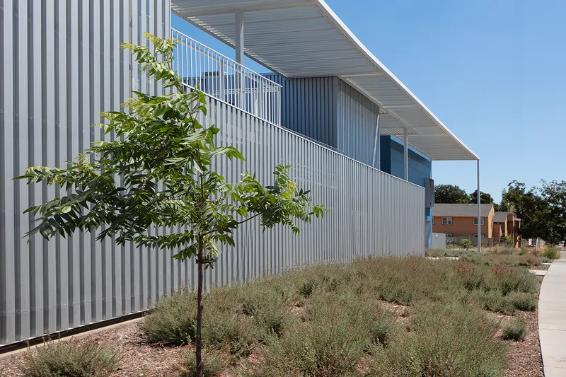 Young tree planted beside the corrugated metal facade with low drought-tolerant shrubs and grasses