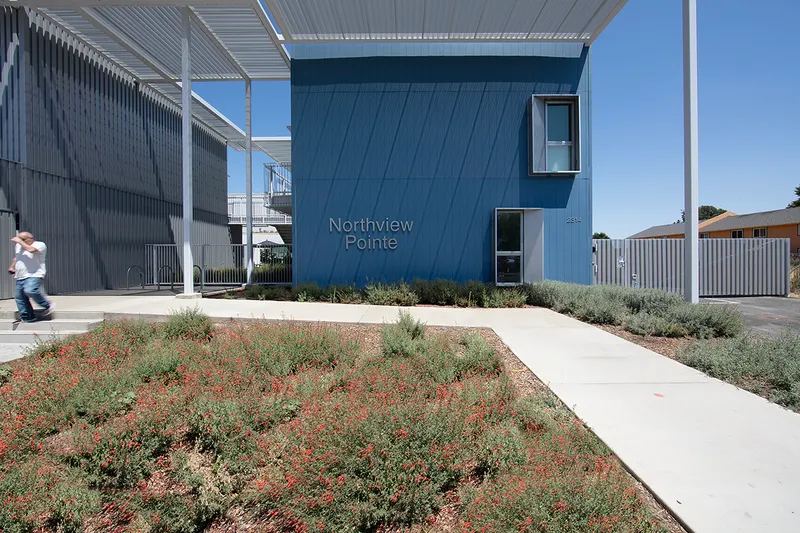 Entry pathway with low drought-tolerant planting beds leading to the blue panel facade under clear skies