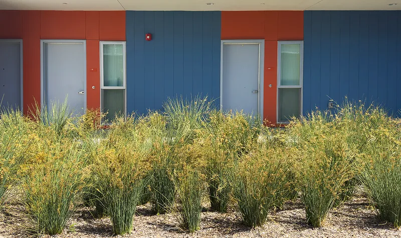 Blue and orange panel facade with entry doors behind planted beds of native grasses