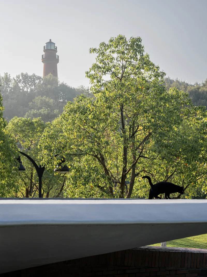 White curved roof edge with silhouetted dog and distant lighthouse emerging through morning mist