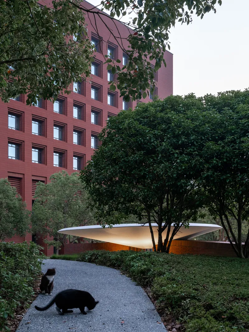Curved canopy floating among trees with two cats on the gravel path below a residential tower