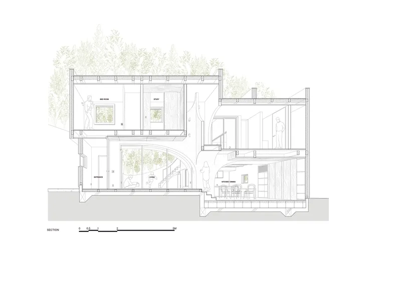 Section drawing showing multi-level interior spaces with double-height living area and exposed timber ceiling structure
