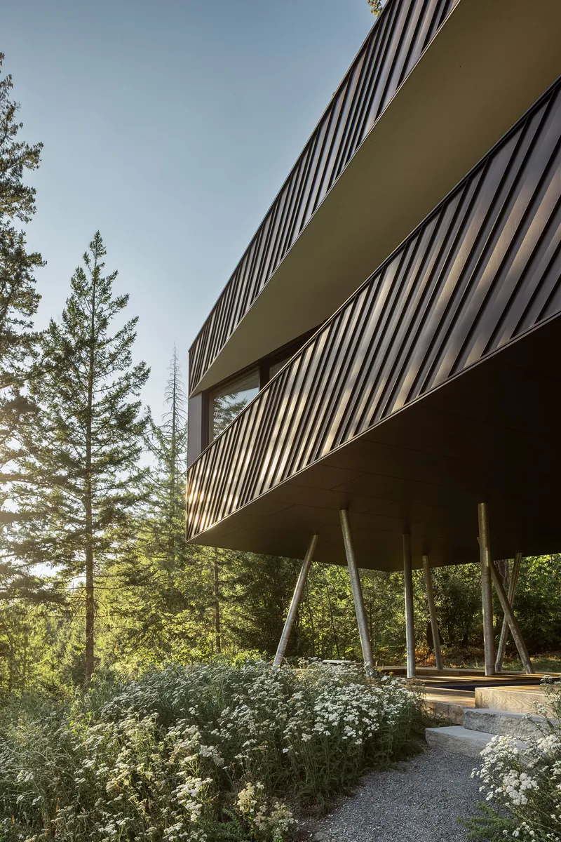 Cantilevered volume with diagonal metal cladding raised on slender steel columns above flowering groundcover