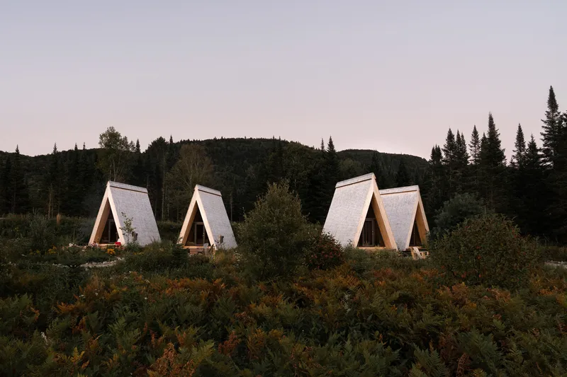Four timber A-frame cabins with shingled roofs nestled among low vegetation and conifer forest at dusk