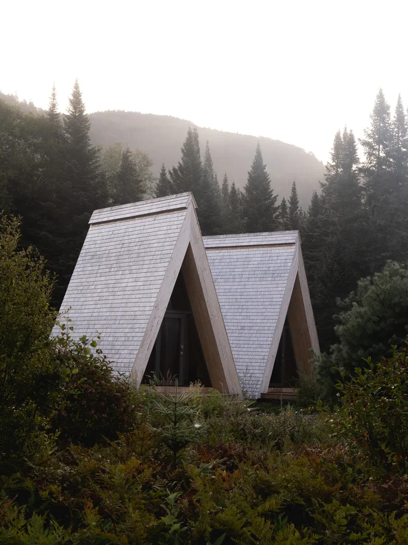 Two adjoined A-frame structures with shingled roofs rising from native vegetation in morning mist