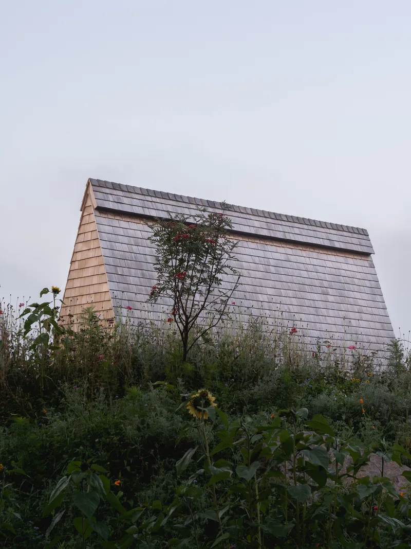End elevation of a shingled A-frame volume with a small tree growing in front through wild grasses