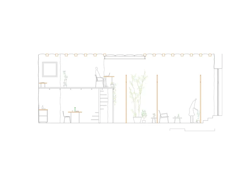 Section drawing depicting interior volumes with furniture, potted plants and mezzanine level with storage