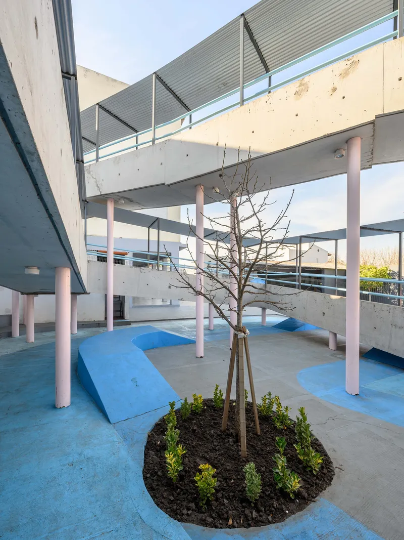 Planted tree in circular bed beneath layered concrete decks with pink columns and corrugated metal roofing