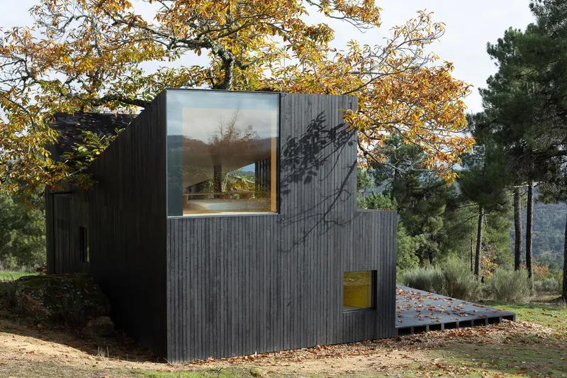 Vertical charred wood siding with square and rectangular windows beneath autumn tree branches
