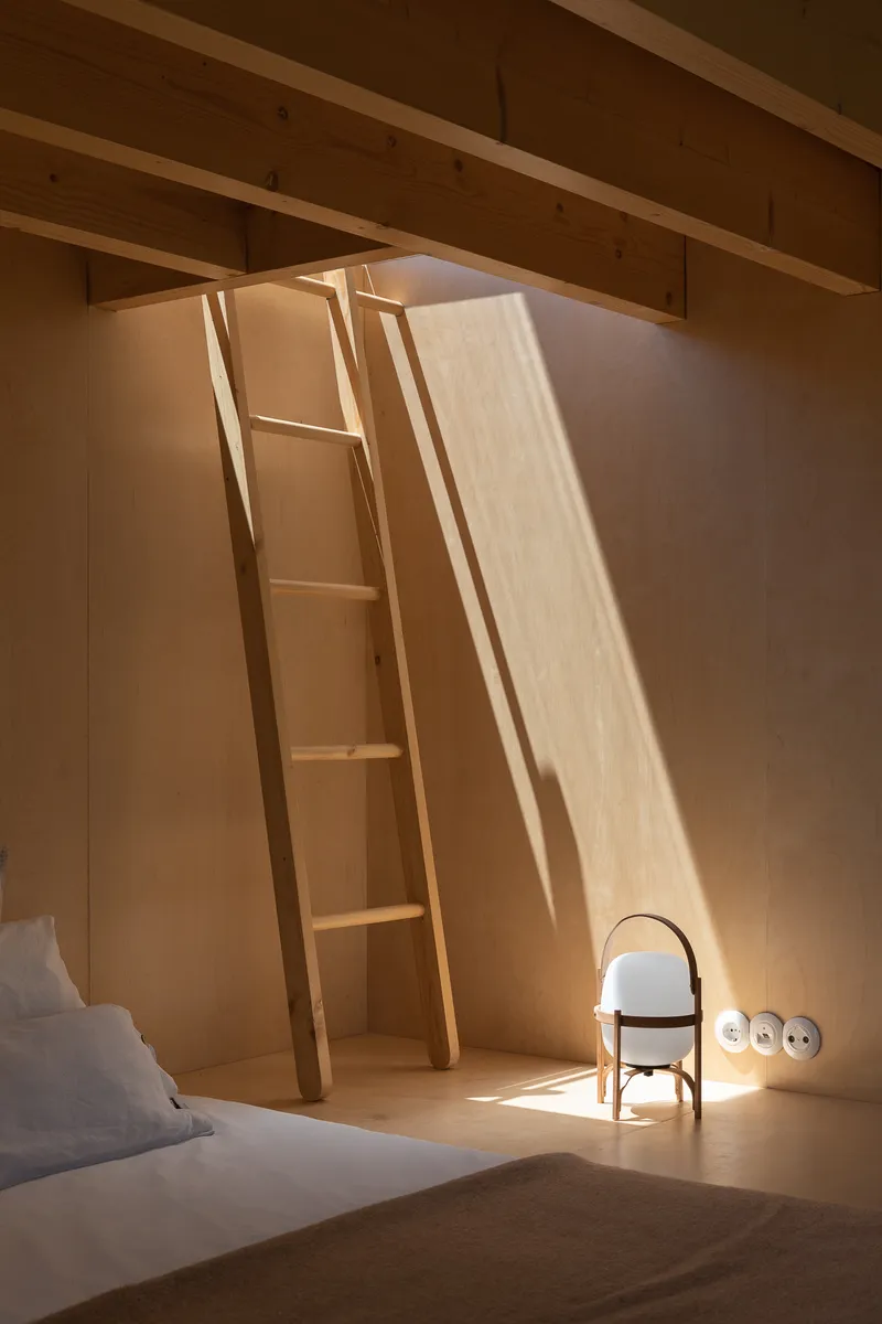 Timber ladder leaning against plywood wall panels beneath exposed roof beams catching afternoon light