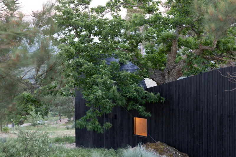 Glowing square window in the black timber facade beneath summer foliage at dusk