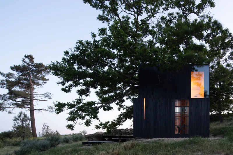 Dark timber-clad volume with vertical slat screen and upper window framed by mature oak trees at dusk