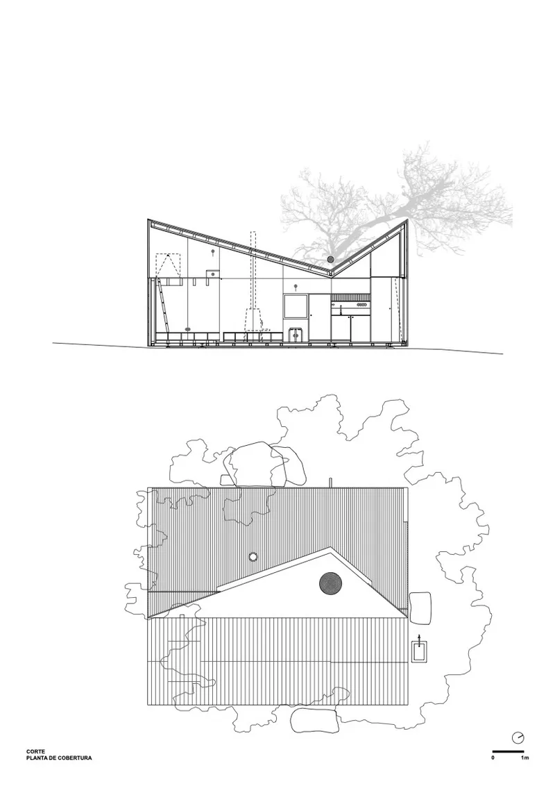 Section drawing and roof plan showing angled roof forms with interior volumes and surrounding trees