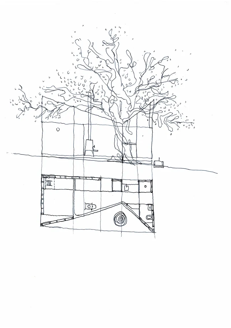 Section sketch with floor plan overlay featuring a large tree growing through the structure