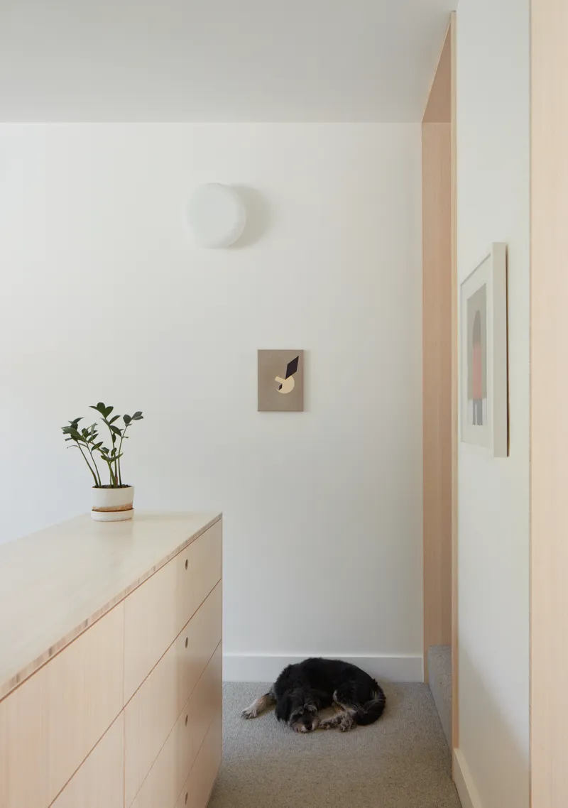Pale timber storage unit and corridor with a dog resting on grey carpet under soft daylight