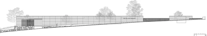 Elevation drawing showing a long horizontal volume with glazed and solid panels surrounded by mature trees