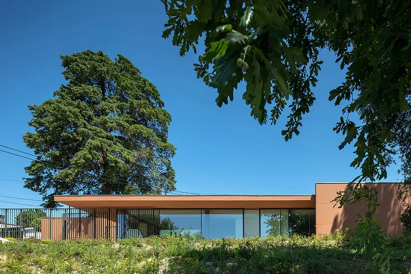 Low-slung terracotta volume with vertical timber screening and full-height glazing framed by overhanging tree branches