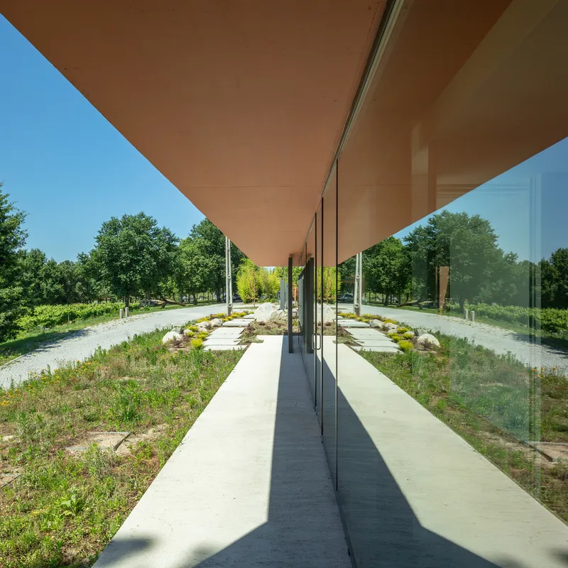 Covered walkway with timber soffit and full-height glass wall reflecting the planted courtyard path on a clear day