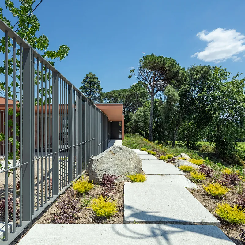 Concrete walkway flanked by vertical metal screen, boulders, and planted beds with grasses beneath mature pines