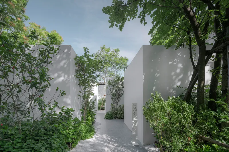 White angled walls framing a garden pathway with dappled sunlight filtering through the tree canopy