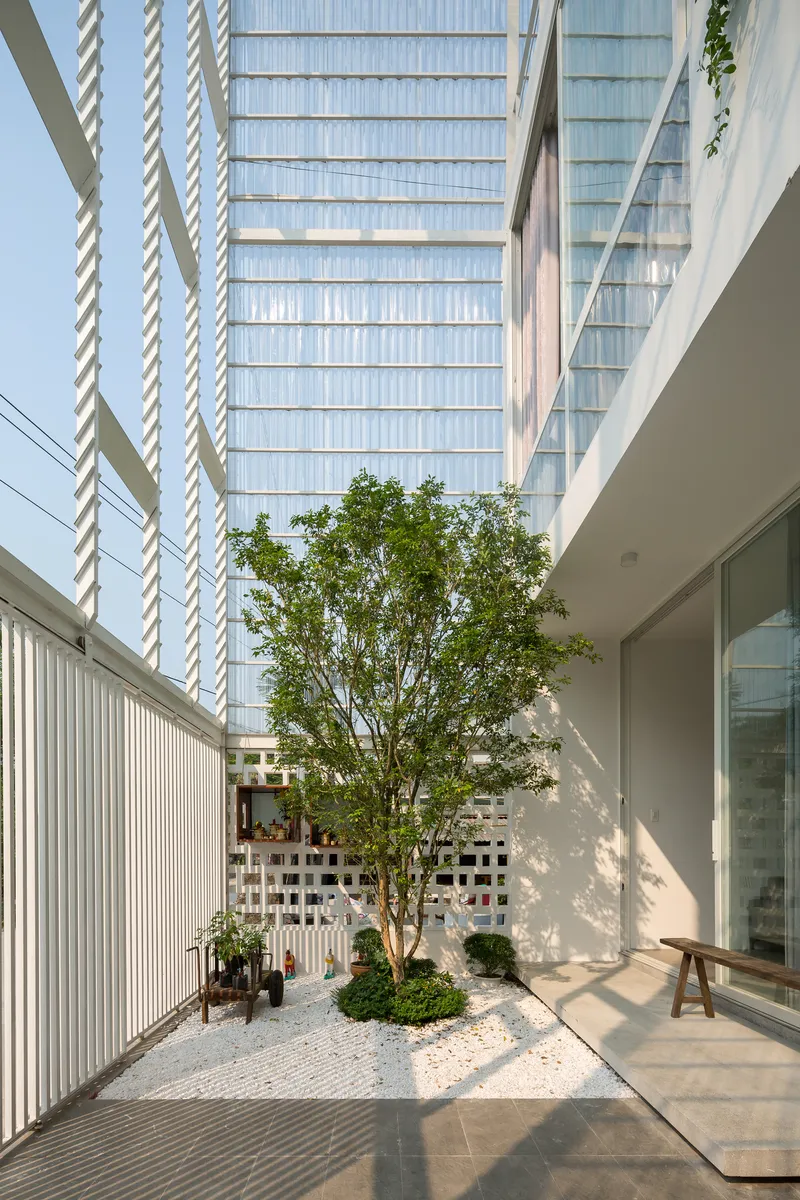 Courtyard garden with tree planted in white gravel beside white corrugated metal wall and glazed facade