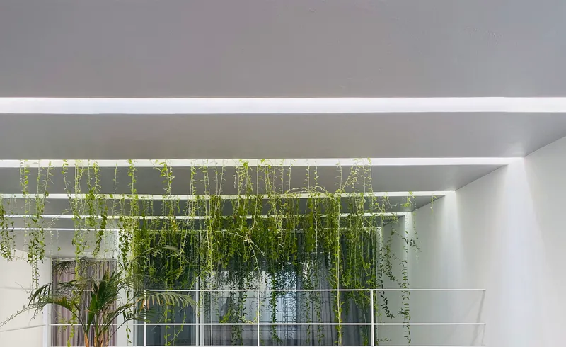 Interior view looking up at roof skylights framed by beams with cascading vines descending through openings
