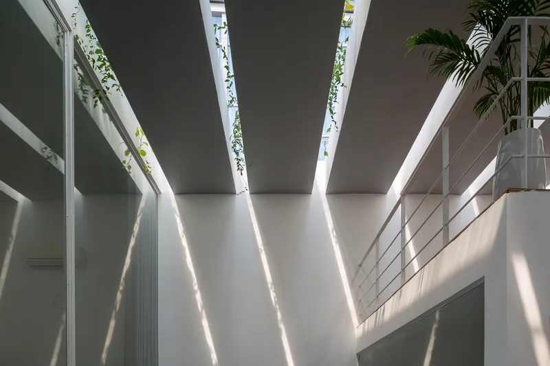 Skylight beams casting diagonal shadows across white walls with trailing plants descending from above