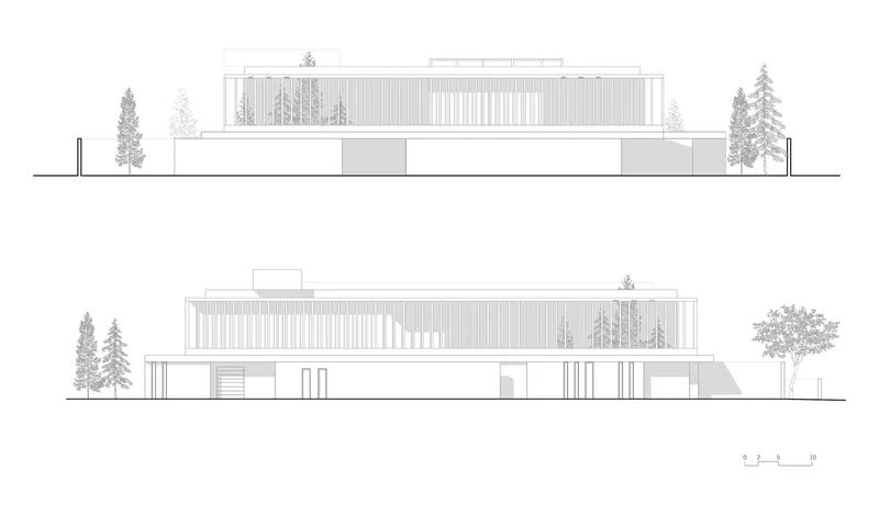 Elevation drawings of two facades with vertical slatted screens and flanking coniferous trees