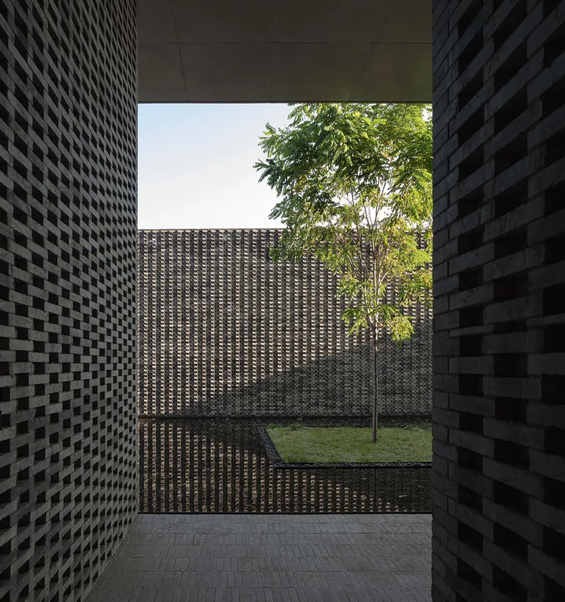 Framed courtyard view through textured masonry walls with a young tree in sunlight