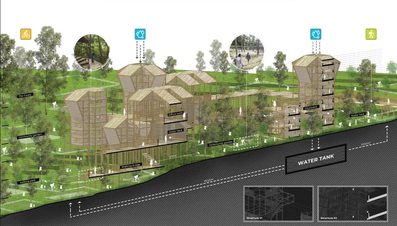 Modular timber structures create a shared environment where koala rehabilitation, community life, and ecological restoration coexist.