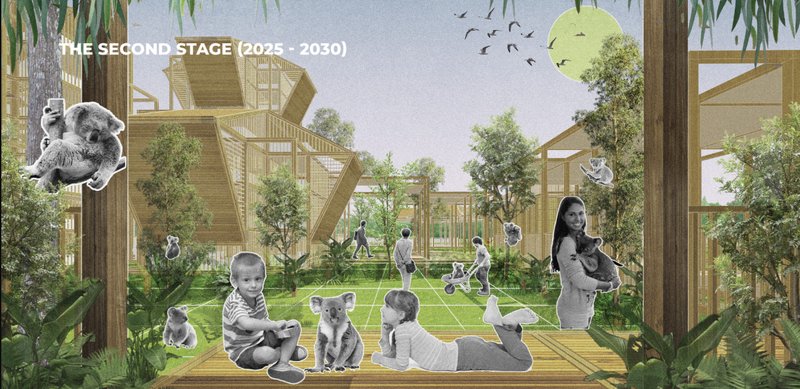 Expanding community spaces encourage interaction, education, and deeper connections between humans and koalas.