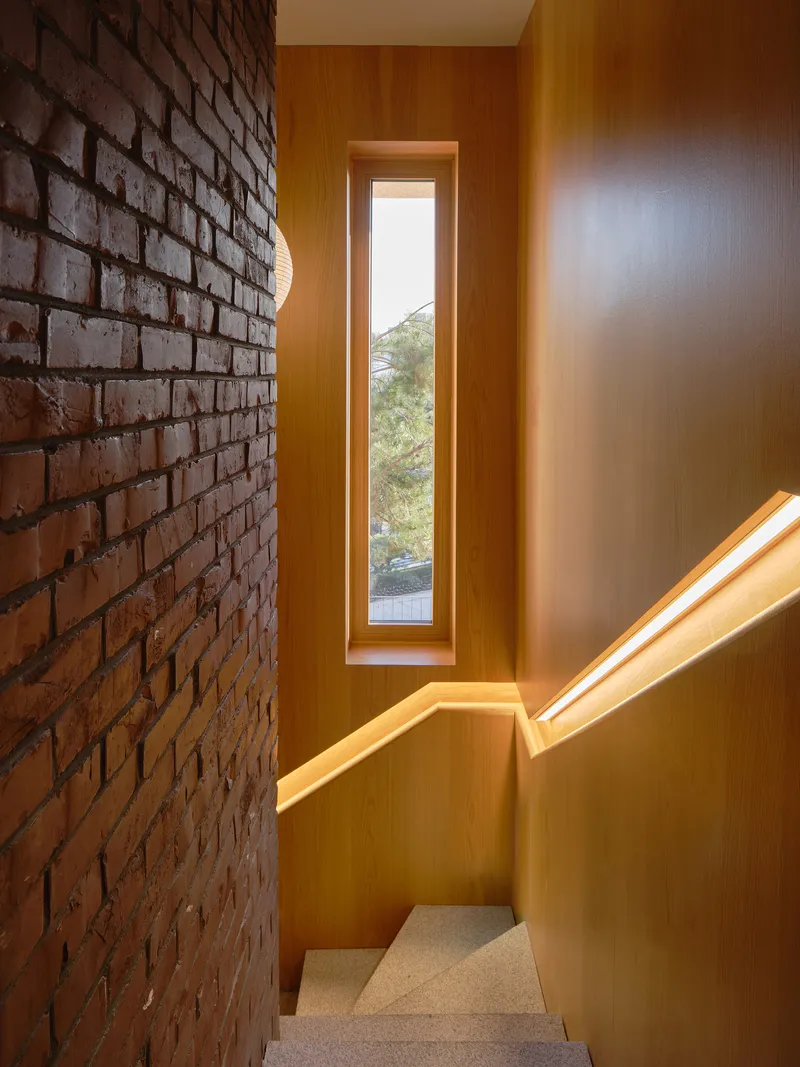 Timber-lined stairwell with narrow vertical window framing greenery outside