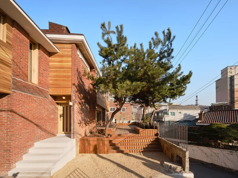 Exterior courtyard with tiered timber decking around a pine tree and red brick walls under clear sky