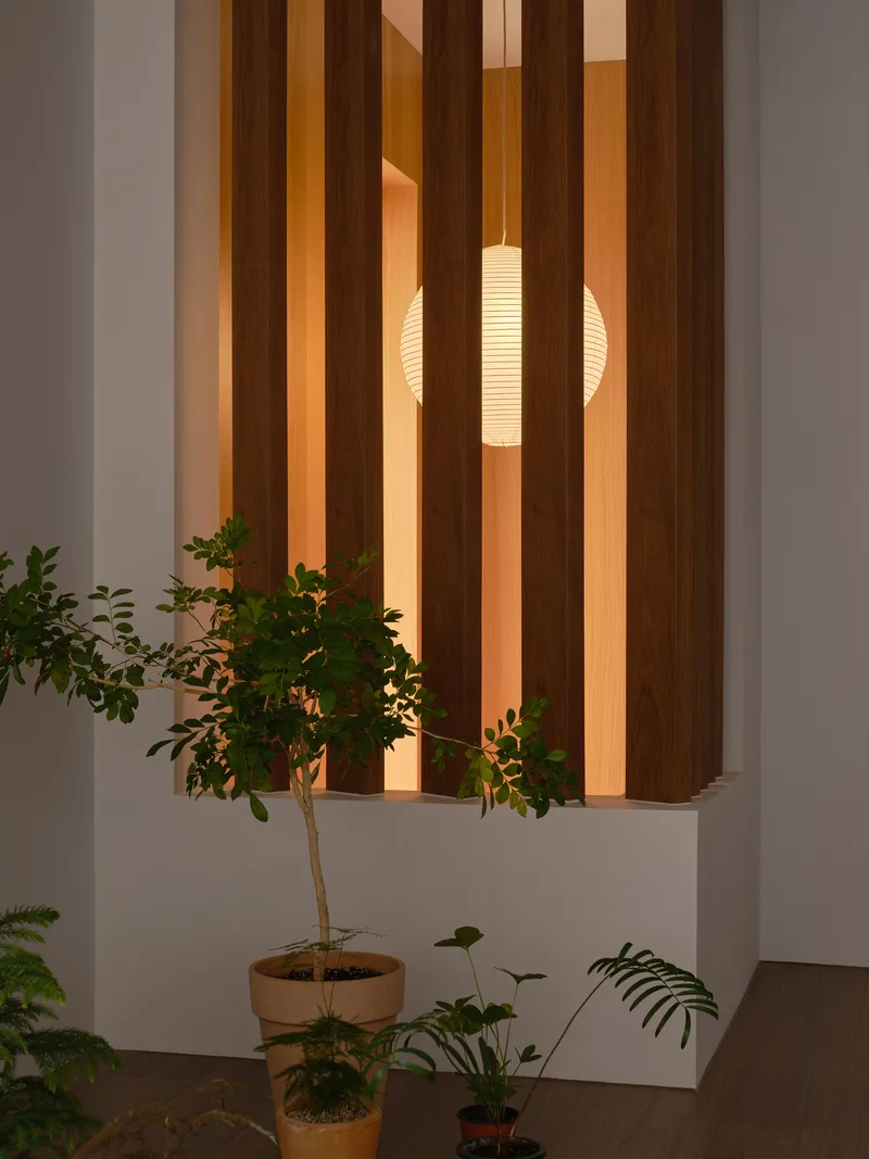 Close view of vertical timber slat screen with warm backlighting and paper lanterns behind potted greenery