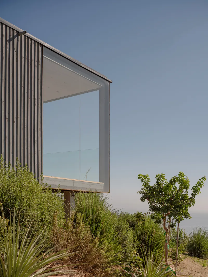 Corner detail of the vertical timber-clad facade with full-height glazing overlooking planted native grasses and trees
