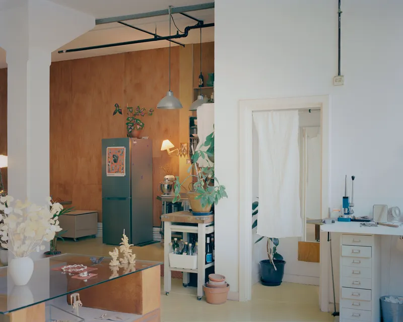 View through arched opening to plywood-clad storage wall and curtained doorway with potted plants