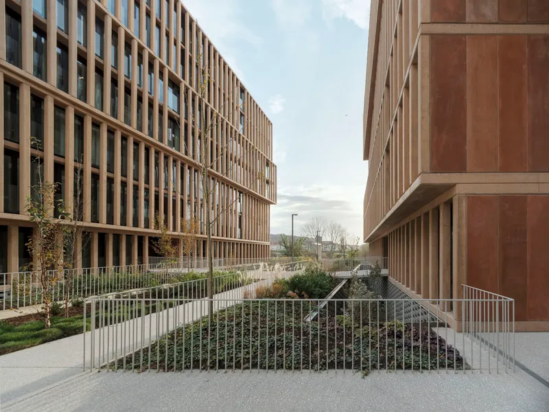 Landscaped courtyard between two timber-louvered facades with planted beds and young trees