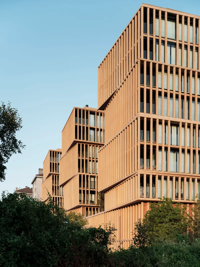 Stepped facade volumes clad in vertical timber battens rising above surrounding trees in afternoon light