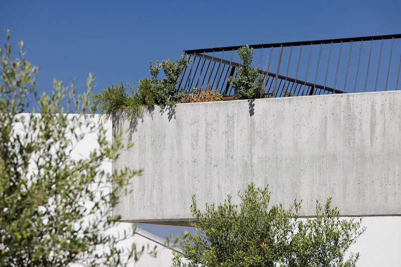 Detail of the board-formed concrete parapet with planted edge and metal railing against blue sky