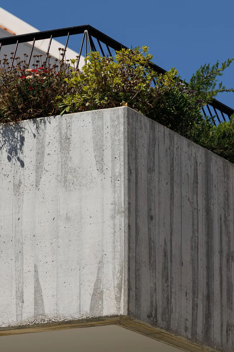 Board-formed concrete retaining wall with planted vegetation and metal trellis above