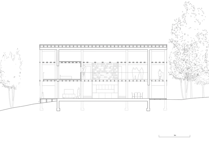 Section drawing revealing the raised living spaces with full-height glazing beneath a flat roof canopy