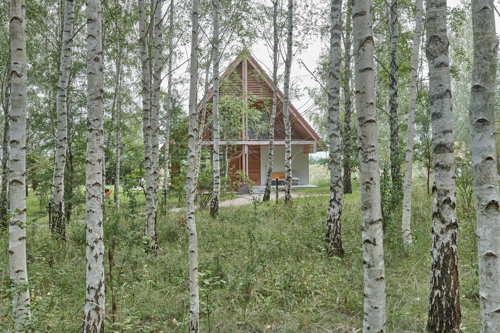 Archigrest Tucks a Timber Gable House into a Masurian Birch Grove