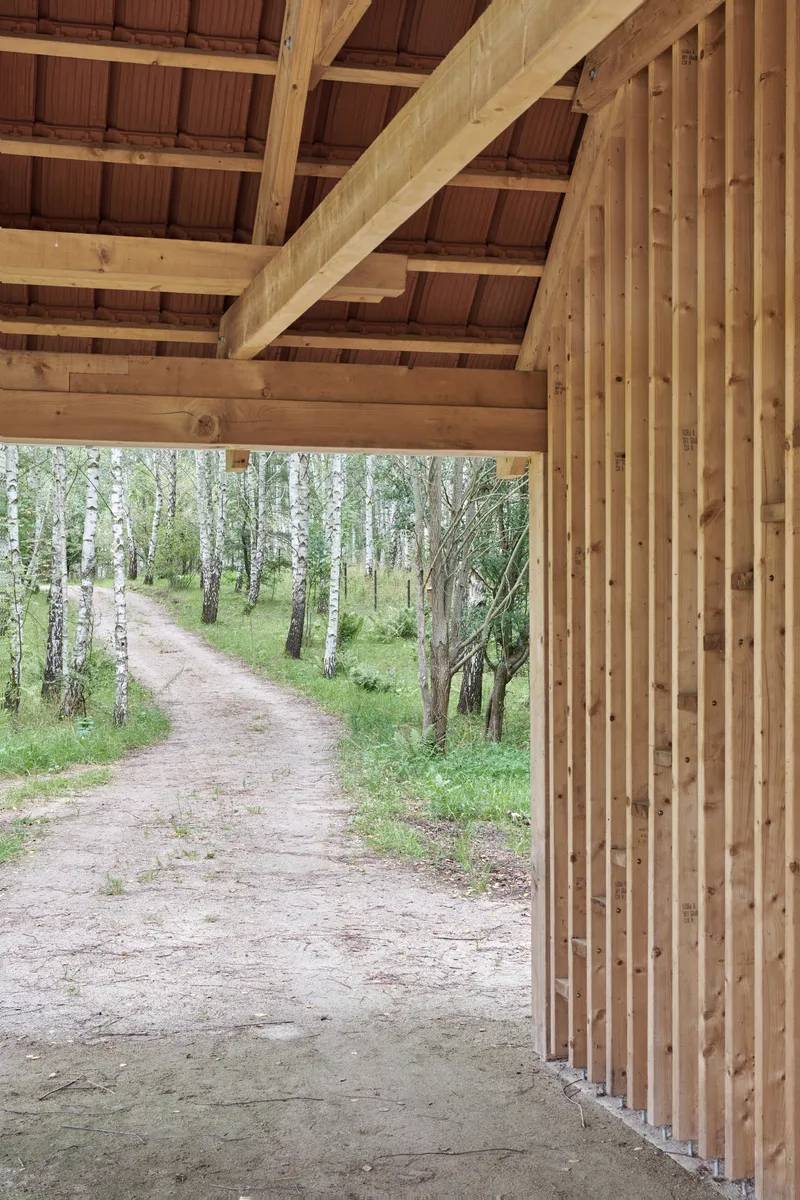 Covered porch with exposed timber beams and vertical wood slat screen opening to a dirt path through birch trees