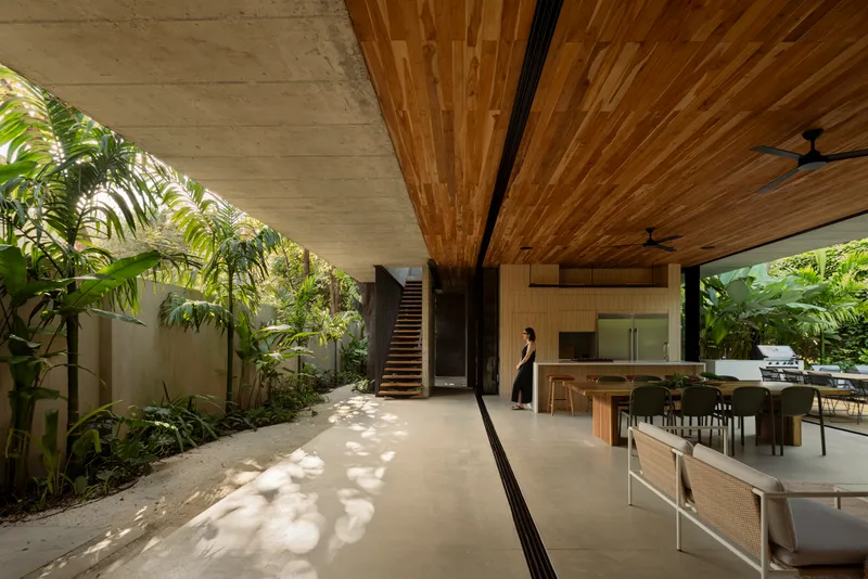Covered outdoor corridor with timber ceiling and concrete soffit opening to planted courtyard with dappled sunlight