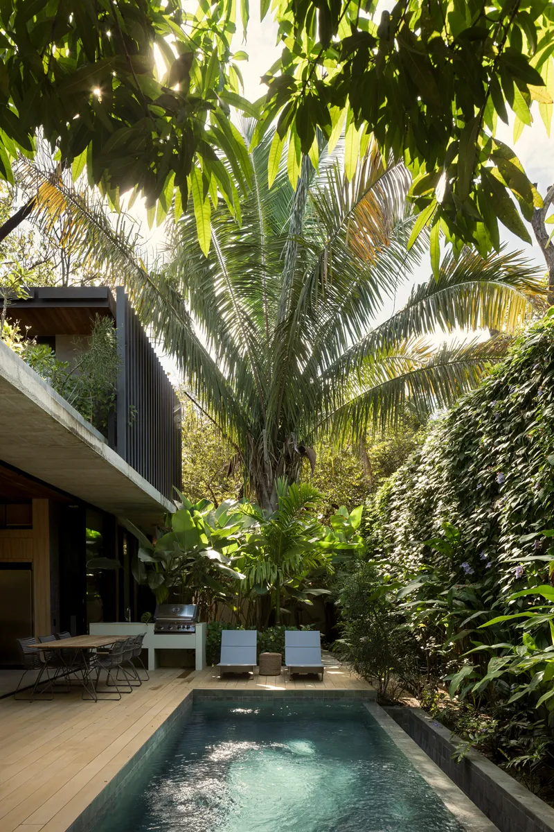 Courtyard pool surrounded by planted beds with palm trees and vine-covered walls