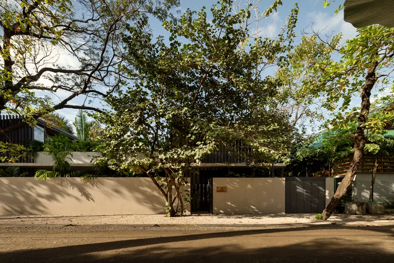 Street view of concrete wall and timber gate beneath established trees with dappled sunlight