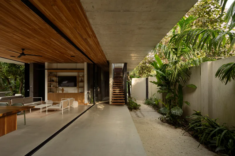 Covered terrace with timber ceiling and concrete soffit opening to planted courtyard with external staircase